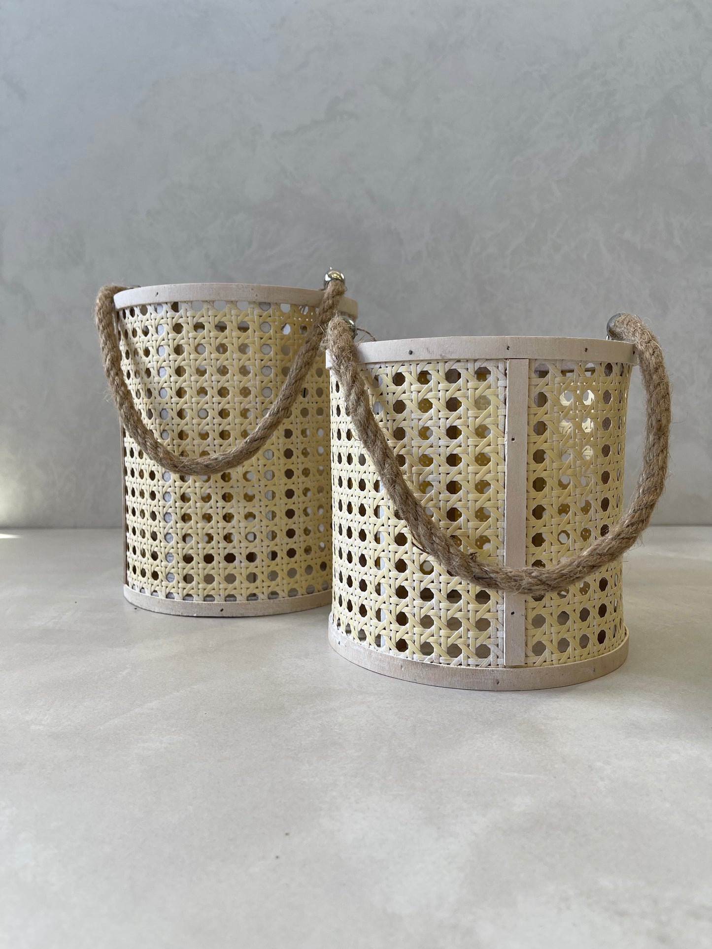 Woven Basket With Rope Wings Small