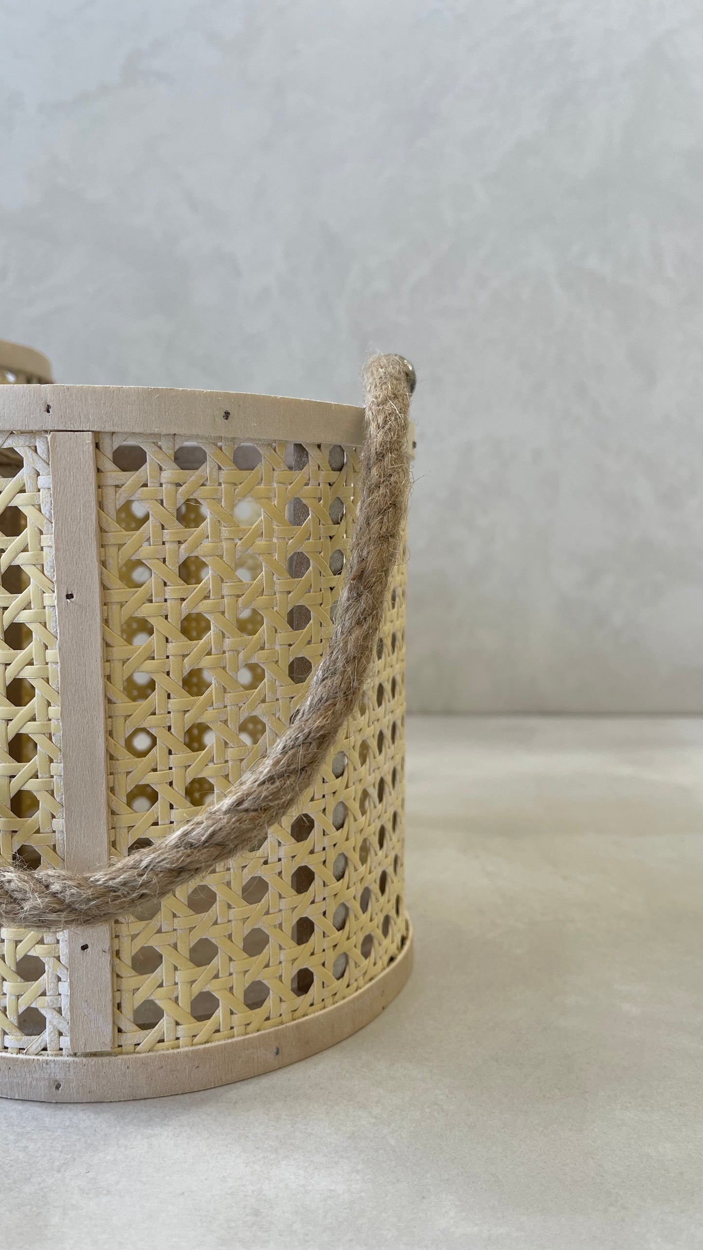 Woven Basket With Rope Wings Large