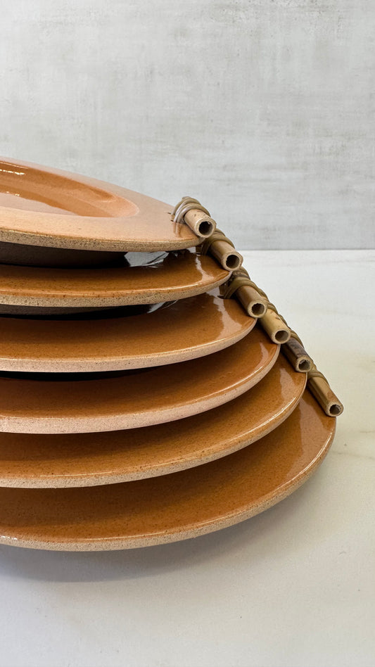 6pcs Bamboo Plates