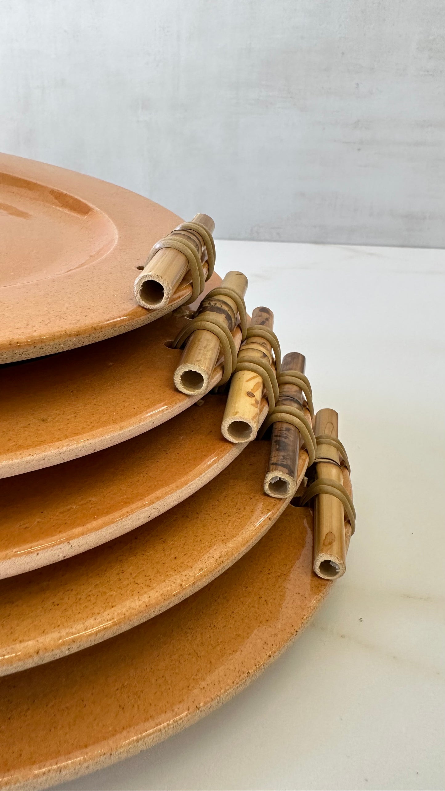 6pcs Bamboo Plates