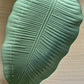 Leaves Tray Large Sage Green