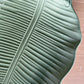 Leaves Tray Large Sage Green